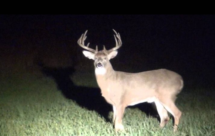 Important Shining Law Update Especially for Deer Hunters